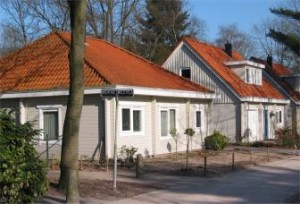 Nieuwe houten 'Finse' bungalows